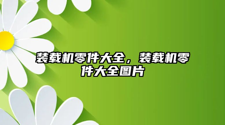 裝載機零件大全，裝載機零件大全圖片