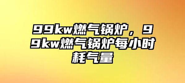 99kw燃氣鍋爐，99kw燃氣鍋爐每小時耗氣量