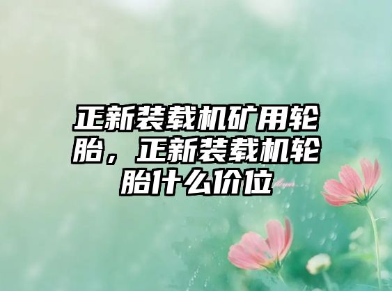 正新裝載機礦用輪胎，正新裝載機輪胎什么價位