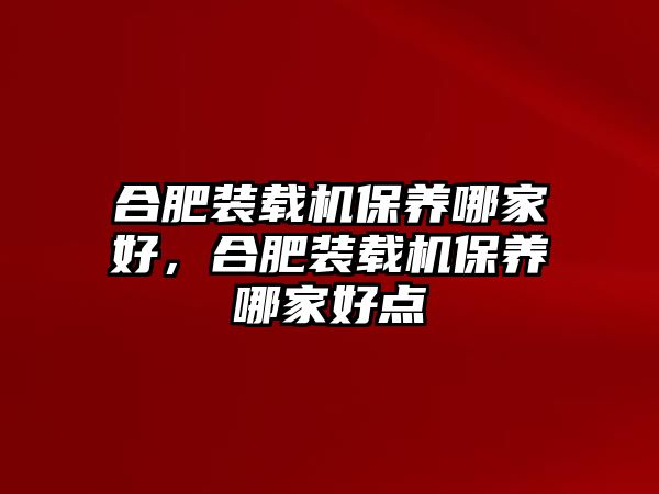 合肥裝載機保養哪家好，合肥裝載機保養哪家好點