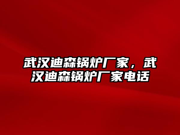 武漢迪森鍋爐廠家，武漢迪森鍋爐廠家電話