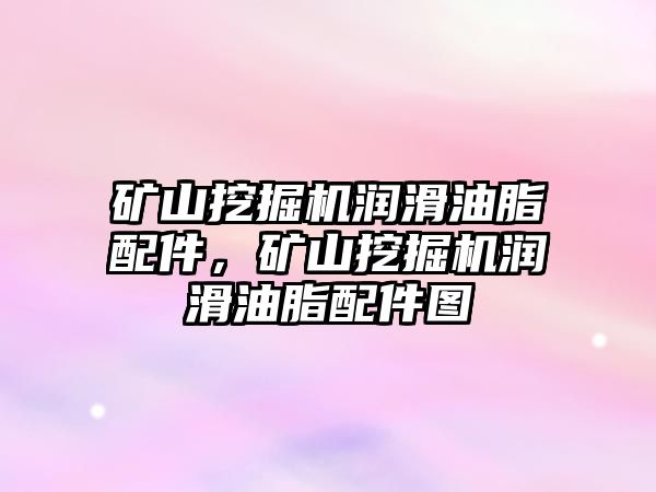 礦山挖掘機潤滑油脂配件，礦山挖掘機潤滑油脂配件圖