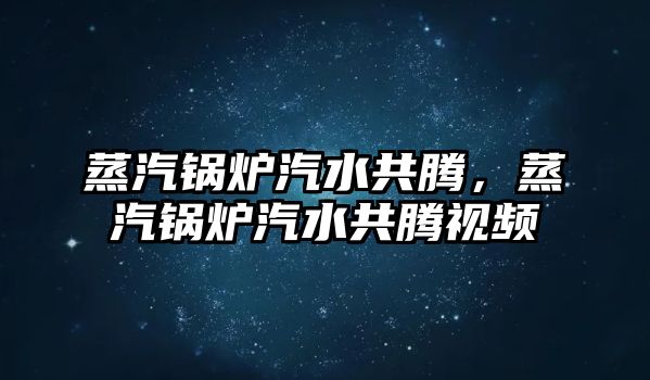 蒸汽鍋爐汽水共騰，蒸汽鍋爐汽水共騰視頻