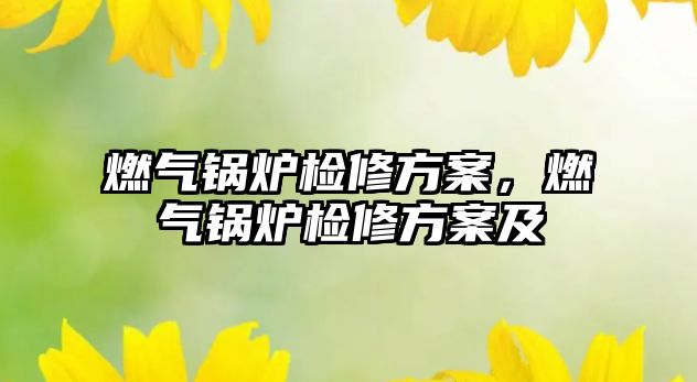 燃氣鍋爐檢修方案，燃氣鍋爐檢修方案及