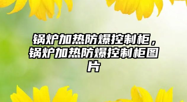 鍋爐加熱防爆控制柜，鍋爐加熱防爆控制柜圖片