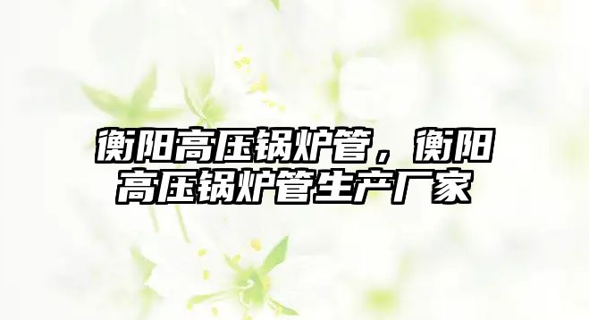 衡陽高壓鍋爐管，衡陽高壓鍋爐管生產廠家