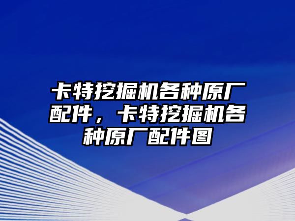 卡特挖掘機各種原廠配件，卡特挖掘機各種原廠配件圖