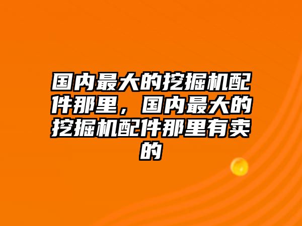 國內最大的挖掘機配件那里，國內最大的挖掘機配件那里有賣的