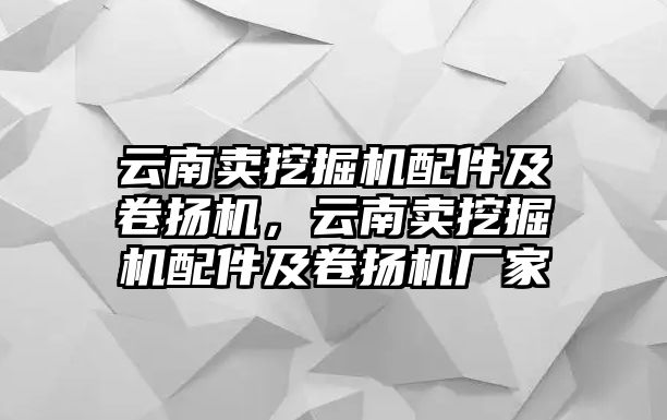 云南賣挖掘機(jī)配件及卷揚(yáng)機(jī)，云南賣挖掘機(jī)配件及卷揚(yáng)機(jī)廠家