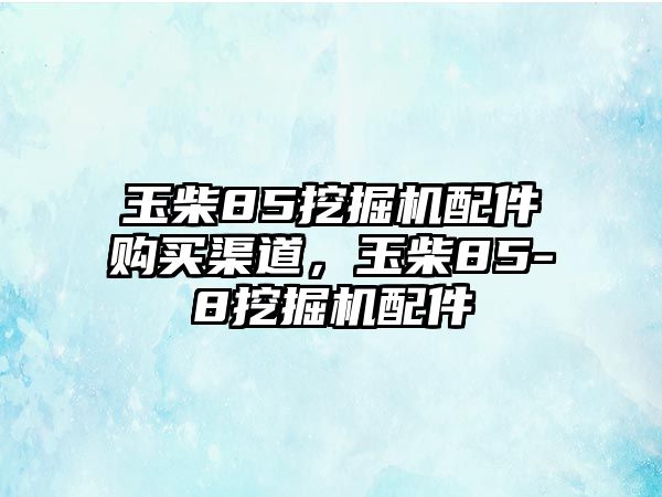 玉柴85挖掘機配件購買渠道，玉柴85-8挖掘機配件