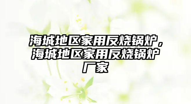 海城地區家用反燒鍋爐，海城地區家用反燒鍋爐廠家