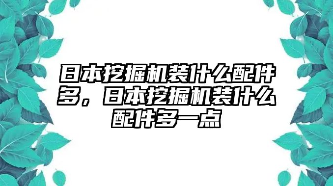 日本挖掘機裝什么配件多，日本挖掘機裝什么配件多一點