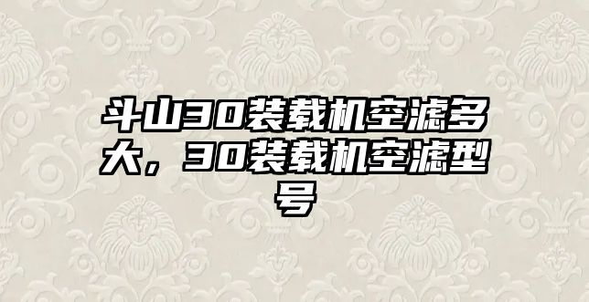 斗山30裝載機空濾多大，30裝載機空濾型號