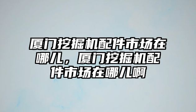 廈門挖掘機(jī)配件市場在哪兒，廈門挖掘機(jī)配件市場在哪兒啊