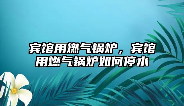 賓館用燃氣鍋爐，賓館用燃氣鍋爐如何停水