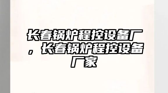 長春鍋爐程控設備廠，長春鍋爐程控設備廠家