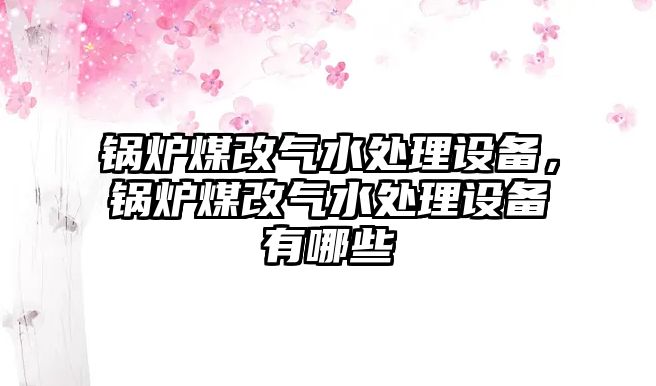 鍋爐煤改氣水處理設備，鍋爐煤改氣水處理設備有哪些