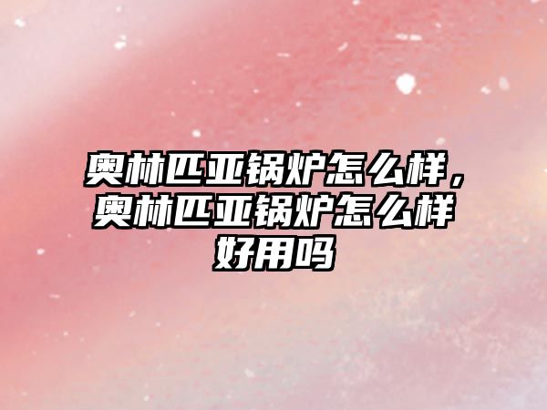 奧林匹亞鍋爐怎么樣，奧林匹亞鍋爐怎么樣好用嗎