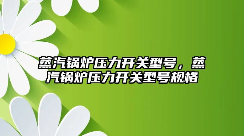 蒸汽鍋爐壓力開關型號，蒸汽鍋爐壓力開關型號規格