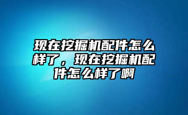 現(xiàn)在挖掘機(jī)配件怎么樣了，現(xiàn)在挖掘機(jī)配件怎么樣了啊