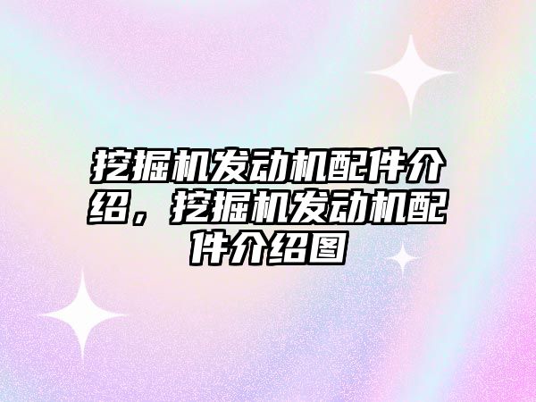 挖掘機發動機配件介紹，挖掘機發動機配件介紹圖