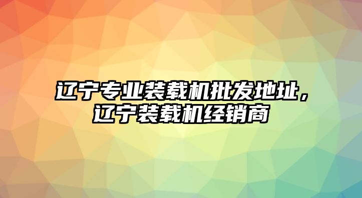 遼寧專業(yè)裝載機(jī)批發(fā)地址，遼寧裝載機(jī)經(jīng)銷商