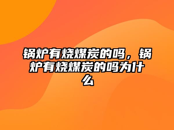 鍋爐有燒煤炭的嗎，鍋爐有燒煤炭的嗎為什么