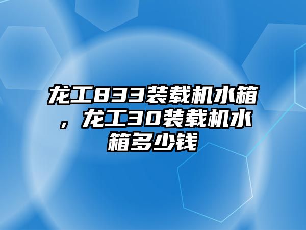 龍工833裝載機(jī)水箱，龍工30裝載機(jī)水箱多少錢(qián)