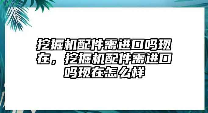 挖掘機(jī)配件需進(jìn)口嗎現(xiàn)在，挖掘機(jī)配件需進(jìn)口嗎現(xiàn)在怎么樣