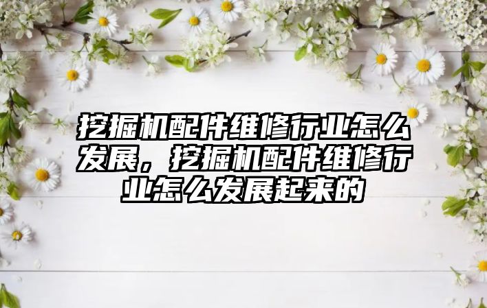 挖掘機配件維修行業怎么發展，挖掘機配件維修行業怎么發展起來的