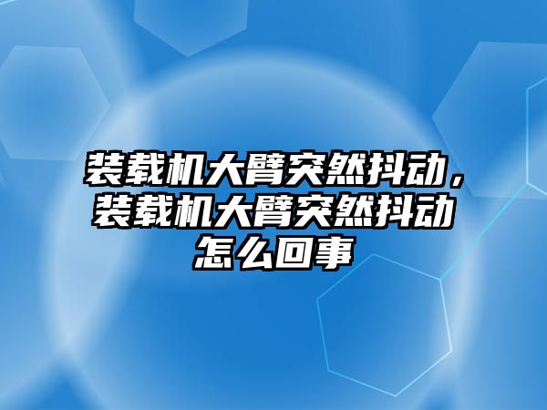 裝載機大臂突然抖動，裝載機大臂突然抖動怎么回事