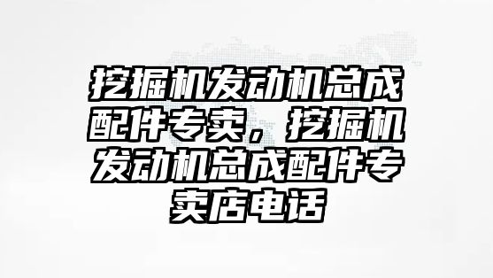 挖掘機發動機總成配件專賣，挖掘機發動機總成配件專賣店電話