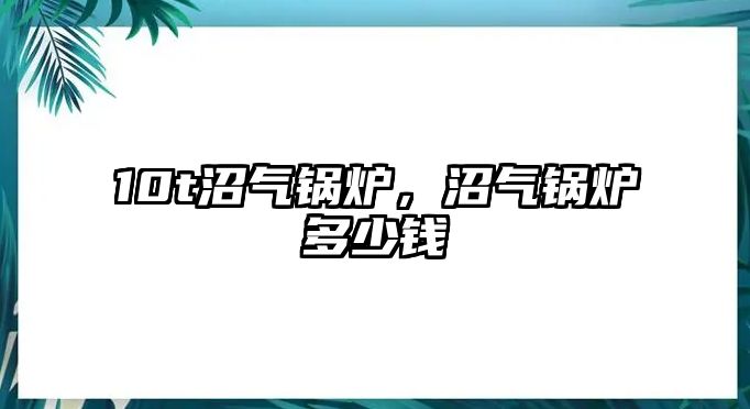 10t沼氣鍋爐，沼氣鍋爐多少錢