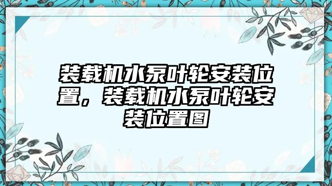 裝載機水泵葉輪安裝位置，裝載機水泵葉輪安裝位置圖