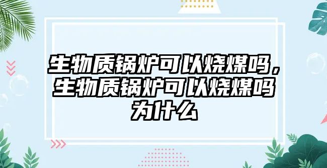 生物質鍋爐可以燒煤嗎，生物質鍋爐可以燒煤嗎為什么