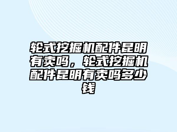 輪式挖掘機配件昆明有賣嗎，輪式挖掘機配件昆明有賣嗎多少錢