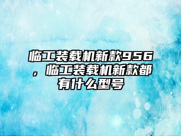 臨工裝載機新款956，臨工裝載機新款都有什么型號