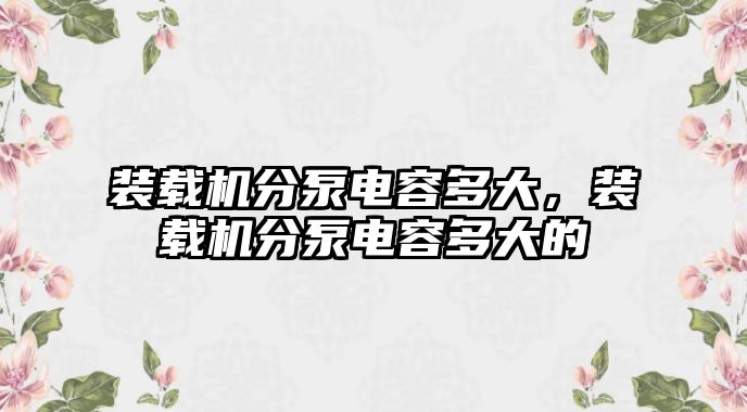 裝載機分泵電容多大，裝載機分泵電容多大的