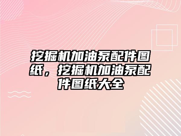 挖掘機加油泵配件圖紙，挖掘機加油泵配件圖紙大全