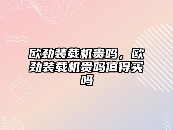 歐勁裝載機貴嗎，歐勁裝載機貴嗎值得買嗎