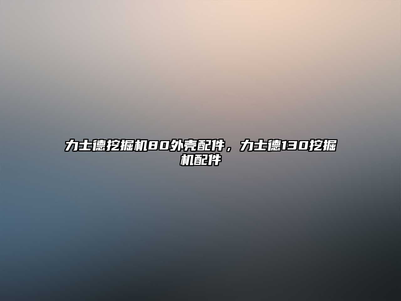 力士德挖掘機80外殼配件，力士德130挖掘機配件