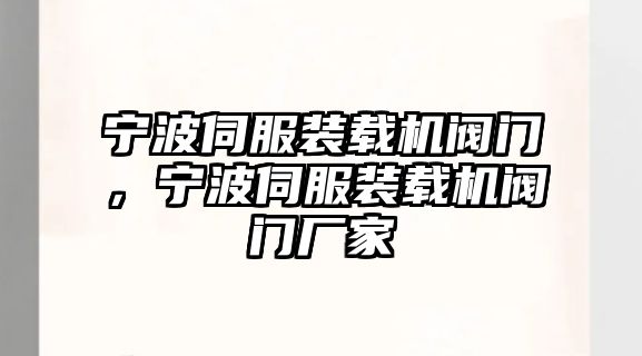 寧波伺服裝載機(jī)閥門(mén)，寧波伺服裝載機(jī)閥門(mén)廠家