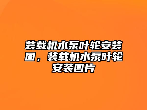 裝載機水泵葉輪安裝圖，裝載機水泵葉輪安裝圖片