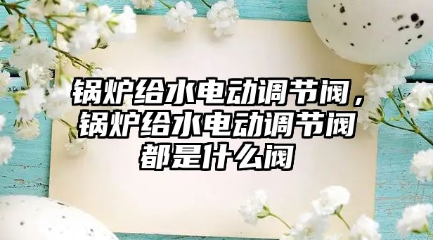 鍋爐給水電動調節閥，鍋爐給水電動調節閥都是什么閥