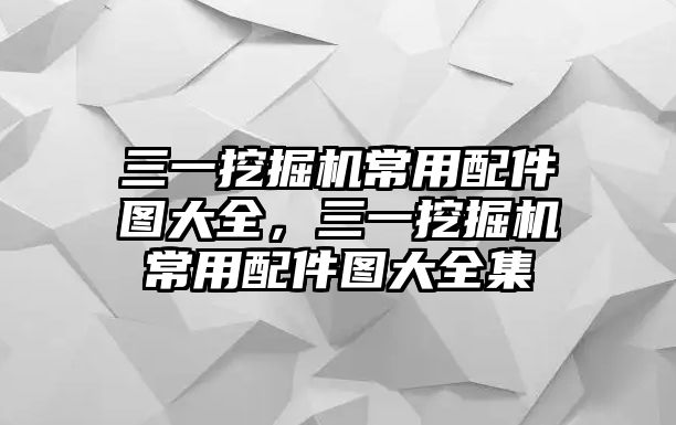 三一挖掘機常用配件圖大全，三一挖掘機常用配件圖大全集