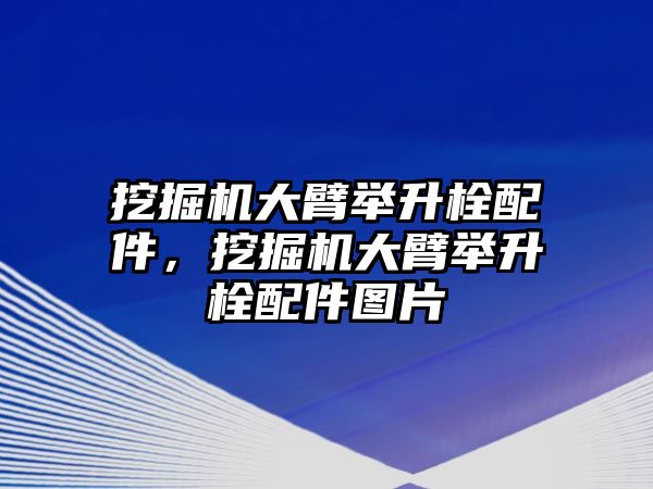 挖掘機大臂舉升栓配件，挖掘機大臂舉升栓配件圖片