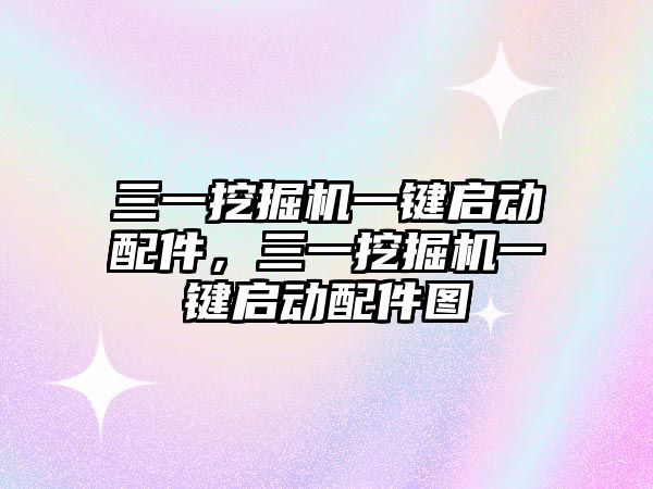 三一挖掘機一鍵啟動配件，三一挖掘機一鍵啟動配件圖