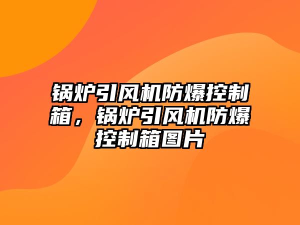 鍋爐引風機防爆控制箱，鍋爐引風機防爆控制箱圖片