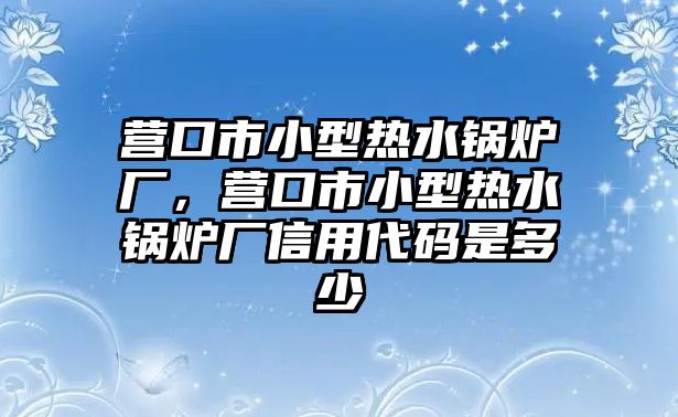 營口市小型熱水鍋爐廠，營口市小型熱水鍋爐廠信用代碼是多少