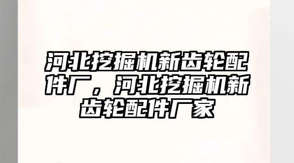 河北挖掘機新齒輪配件廠，河北挖掘機新齒輪配件廠家